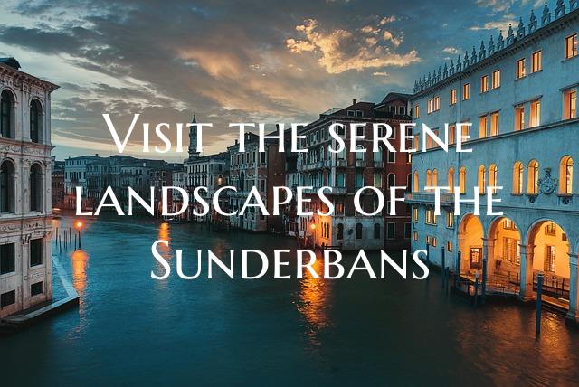 Visit the serene landscapes of the Sunderbans