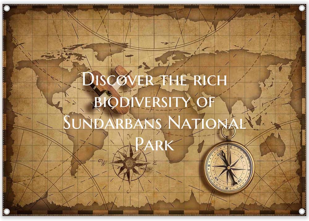 Discover the rich biodiversity of Sundarbans Natio...