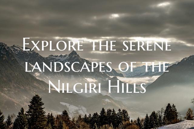 Explore the serene landscapes of the Nilgiri Hills