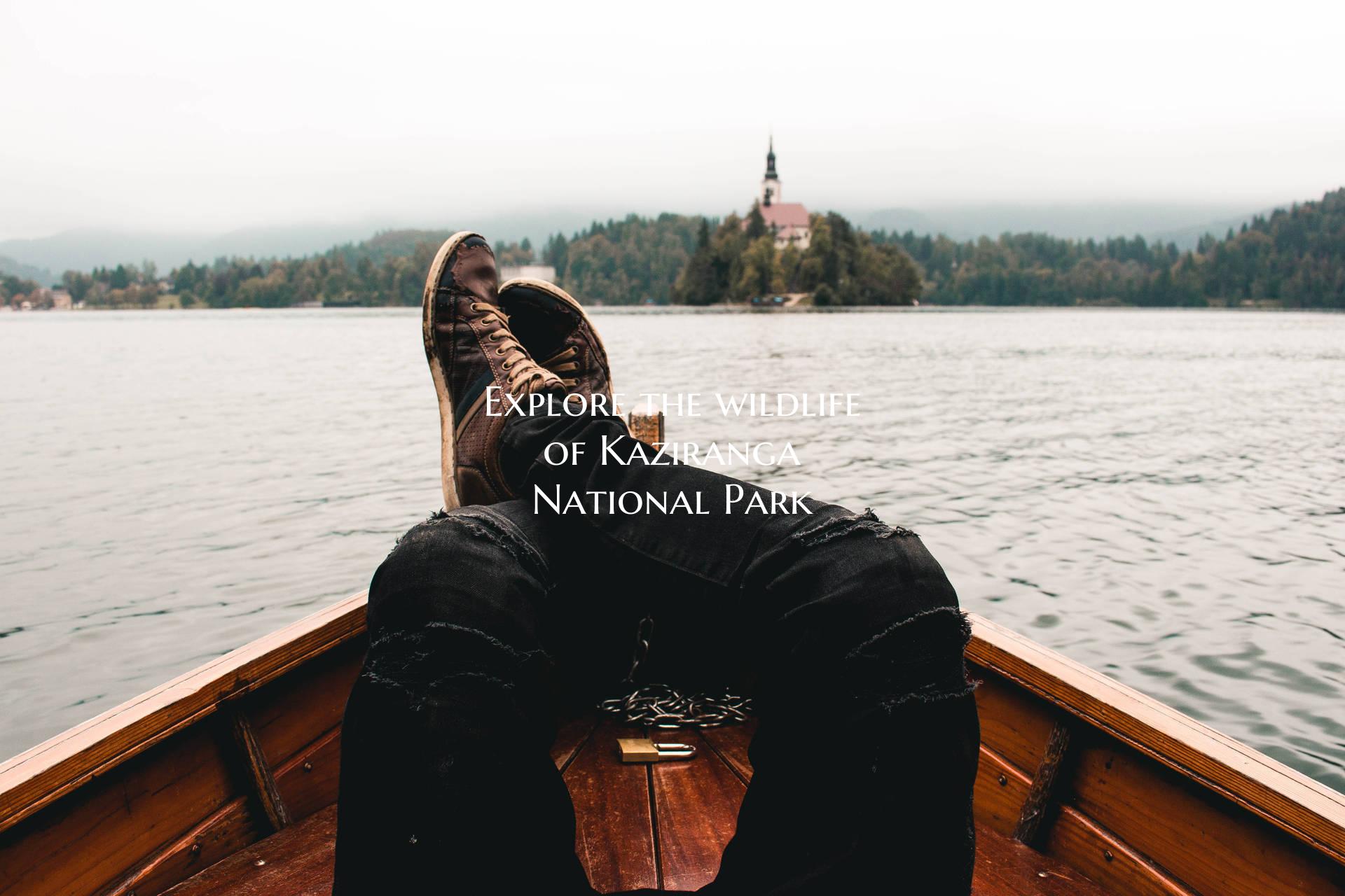 Explore the wildlife of Kaziranga National Park