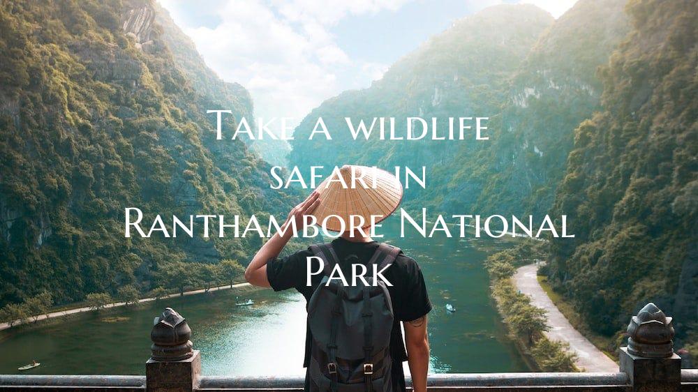 Take a wildlife safari in Ranthambore National Par...
